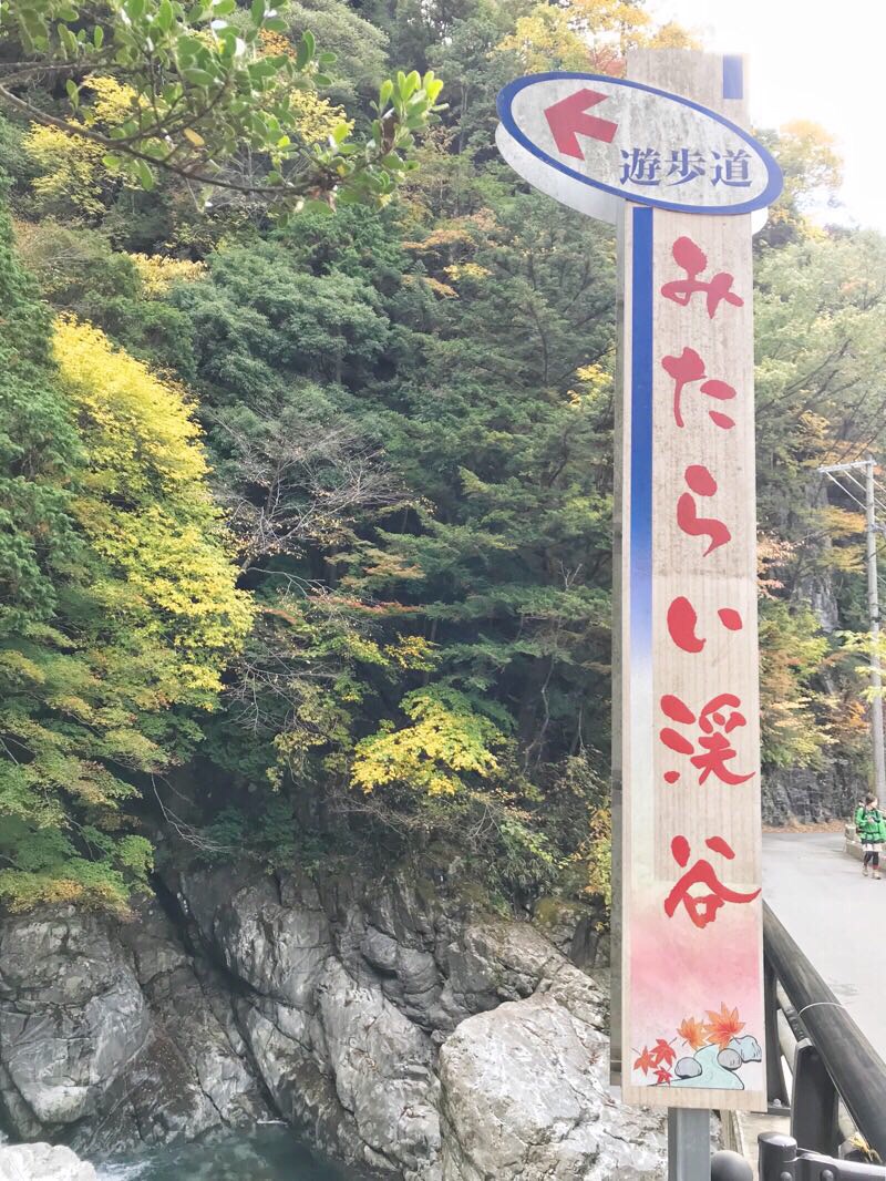 奈良県天川村みたらい渓谷の看板の写真。