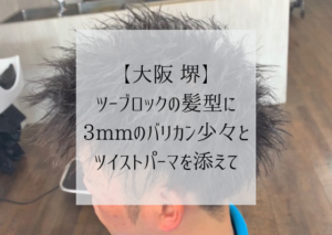 【大阪 堺】ツーブロックの髪型に、3mmのバリカン少々とツイストパーマを添えて、というブログのタイトル画像